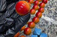 Food and Drinks Hopping Tour in Panama City