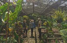 Coffee Farm Tour and beer tasting or a Choachí 