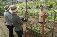 Coffee Farm Tour and beer tasting or a Choachí 