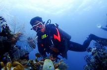 Bali Full Day Experience Scuba Diving Tour at Tulamben