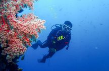 Bali Full Day Experience Scuba Diving Tour at Tulamben
