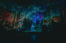 Go Tours Private Rock Experience Tour in Gibraltar