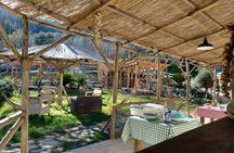 Authentic Farm Tour with Pizza, Cheese, Wine & Limoncello Tasting