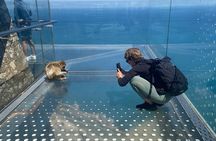 Go Tours 360° Experience in Gibraltar with Professional Guide