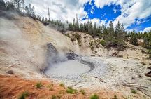Yellowstone Lower Loop VIP Full-Day Private Tour with Lunch