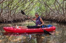 2 Hour Tandem Kayak Tour (Price for 2 People)