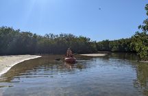 2 Hour Tandem Kayak Tour (Price for 2 People)