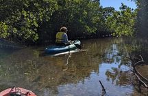 2 Hour Tandem Kayak Tour (Price for 2 People)