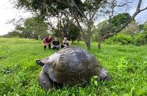  4-Day Galapagos Island Hopping Tour: Isabela, Boat Tours and Airport Transfer