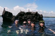 5-Day Galapagos Island Hopping Tour: Los Tuneles and Isabela