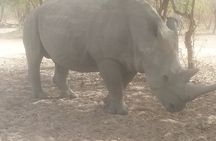 Safari Game Park