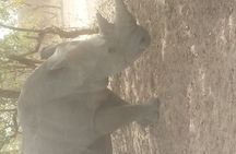 Safari Game Park