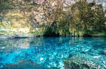 Tour at Unique Cenotes in Tulum