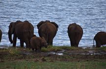2-Days Private The Ultimate Tanzania Safari Tour