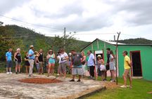 Punta Cana Half-Day Cultural Safari with Lunch and Drinks