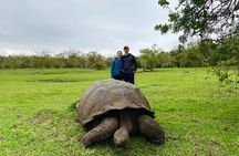 8-Day Galapagos Island Hopping Tour: Isabela, Giant Tortoises, and Snorkeling