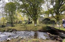 Ruinous Highland Village and Standing Stones Day Trip