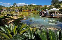 Art Of Wine – Travel Through The So-Called Wine Route Visiting Various Wineries 