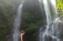 Small-Group Sekumpul Waterfall Jungle Trek with Lunch