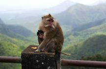 Mauritius Guided South tour (Private)