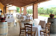 Guided Tour and Wine Tasting in the Sandro De Bruno Winery