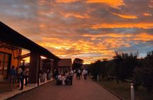 Guided Tour and Wine Tasting in the Sandro De Bruno Winery