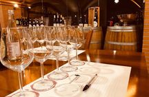 Guided Tour and Wine Tasting in the Sandro De Bruno Winery