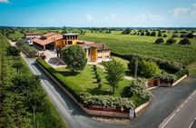 Guided Tour and Wine Tasting in the Sandro De Bruno Winery