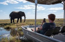 Chobe Day Trip