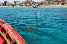 São Pedro experience (hiking & snorkeling with turtles)
