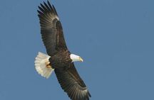 Guided Scenic Float Day Trip on the Salmon River
