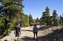 Hiking Arround Chefchaouen and Talassemtane Park with Berber Villages Visit