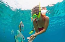 Blue Lagoon Snorkeling and Lunch with Private Transfer 