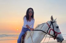 Horse Riding Agadir