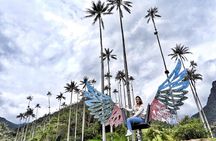 Cocora Valley, Salento and Coffee Farm Day Tour 