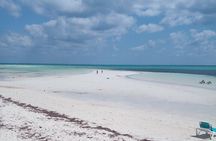 Tour of Coral Vita and breach brak at Banana bay beach club