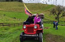 Cocora Valley and Salento Hike Tour