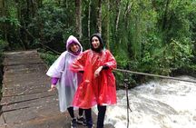 Cocora Valley and Salento Hike Tour