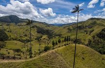 Cocora Valley and Salento Hike Tour