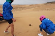 Essaouira: Quad dunes beaches ride (free transfer).