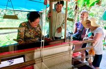 Half Day Silk Island Cruise and Tours with English speaking guide