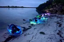 Shell Key Clear Kayak Sunset & Glow Tours 