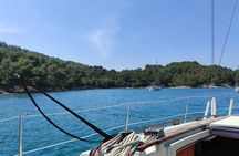 From Zadar: Half day sailing tour