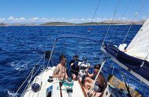 From Zadar: Half day sailing tour