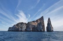 7-Day Galapagos Island Classic Tour: Los Tuneles and Local Flight
