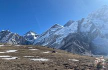 Trek to Everest Base Camp