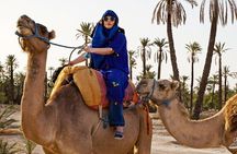 Camel Ride in Marrakesh's Palm Grove