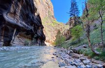 The Narrows: Zion National Park Private Guided Hike
