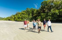 2 Day Great Barrier Reef, Daintree Rainforest & Cape Tribulation