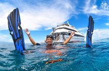 2 Day Great Barrier Reef, Daintree Rainforest & Cape Tribulation